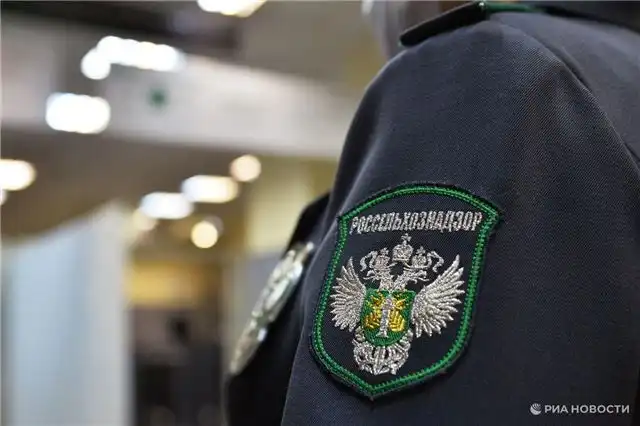 Россельхознадзор обнаружил нарушения в камышинском кафе, ставшем причиной отравления посетителей
