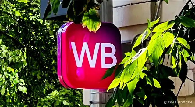 Продавцам Wildberries дали отсрочку по займам после ударов дронов ВСУ по складам