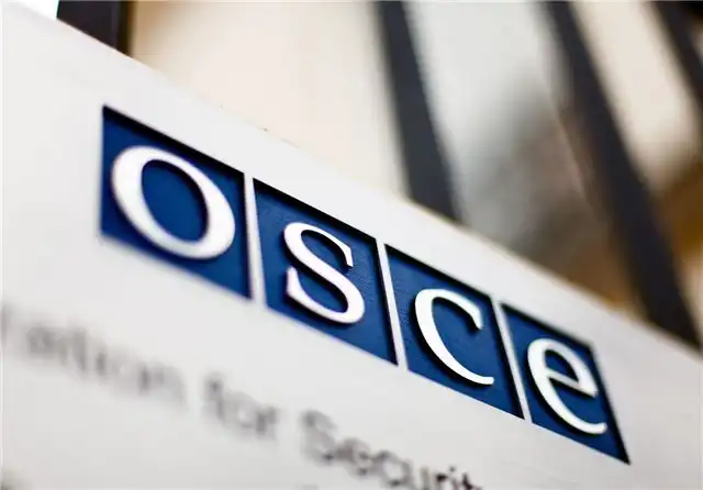 Захарова заявила, что у России нет оснований вновь присоединяться к Парламентской ассамблее ОБСЕ