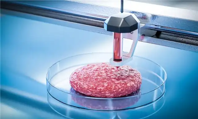 БФУ разработал инновационные чернила для 3D-печати искусственного мяса